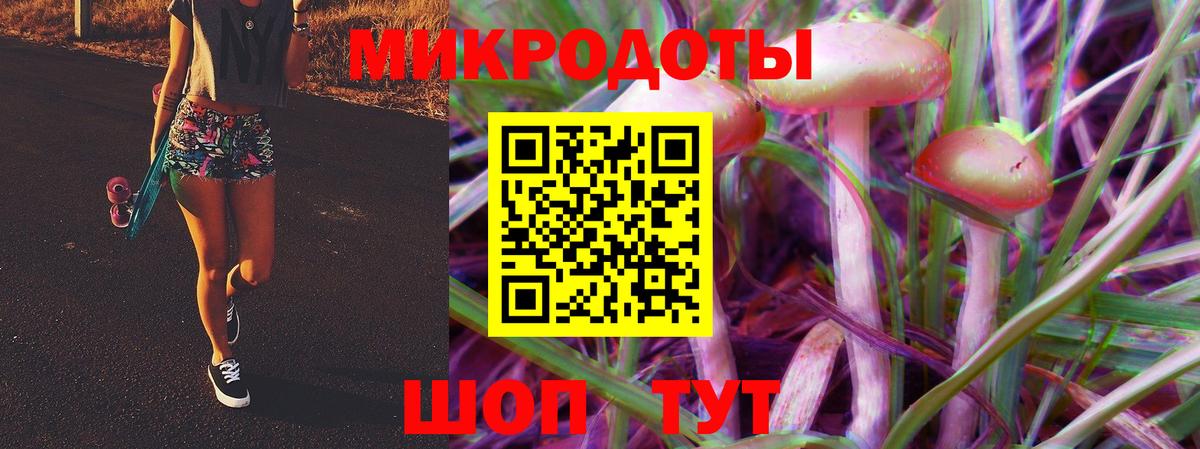Десногорск  Псилоцибиновые грибы Psilocybe  Вход с VPN 